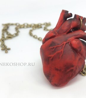 Кулон сердце (анатомическое) 