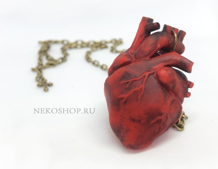 Кулон сердце (анатомическое) 
