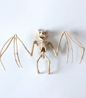 Скелет летучей мыши